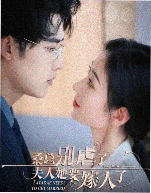归舟剧集在线观看