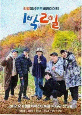 城市盲盒综艺在线观看